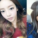 시저스헤어 이미지