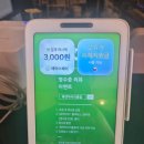 [전남 순천] 순천 애견동반 카페 : 룩앳마이리틀홈