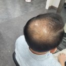 준이헤어 이미지