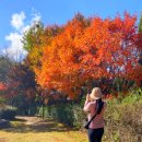 황금이식물원 이미지