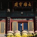 스테이 혜원 이미지