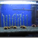 한서아쿠아 이미지