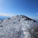 2월5일(월요일)눈꽃트래킹 4탄 운두령계방산 트래킹 합니다《마감합니다》 이미지