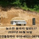 대구장의사