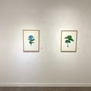 [주말]보테니컬 아트 이미지