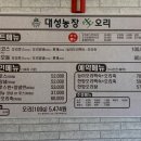 대성농장생오리 | 맛집추천| 대성농장생오리훈제군포금정점 20년찐단골 내돈내산맛집