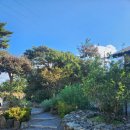 (주)캐슬렉스제주 휴양콘도미니엄 | 장기재직휴가 기록(1)