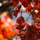 개포4-102 이미지