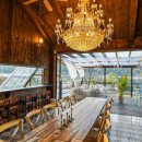 프린세스애견 이미지