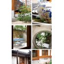 힐링정원 이미지