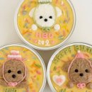 댕가앤쿡 이미지