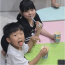 사랑가득 합기도 | 우리 아이 성장에 딱 맞는 충주유아합기도, 아이사랑일무관합기도 프로그램 살펴보기