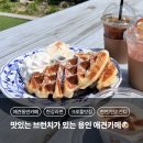오늘도 편안하개 | [용인] 별똥구리 : 분당근처 천연잔디 용인애견카페