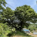 구항면 대정마을회관 이미지