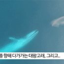 고래PC방 이미지