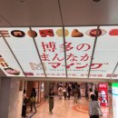 일하는곰아저씨 이미지