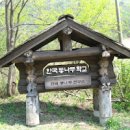 한국통나무학교: 자연 속에서 힐링과 체험을 배우는 곳 이미지