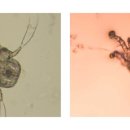 로잔동물의료센터 이미지