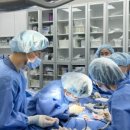 금산헤르쯔 동물병원 이미지