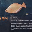 제주어류양식수산업협동조합