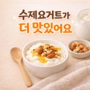 카스피 그릭요거트 스타터로 수제요거트 만들기 (발효시간·식감 후기)