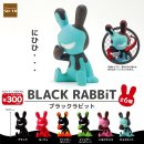 주식회사 블랙래빗 이미지