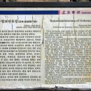 만호 - 제주시 | 만호