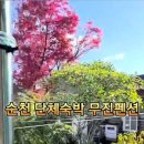 무진펜션 이미지