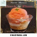 에스프레소바코드 | 정발산동 애견카페 에스프레소 바코드 밤리단길 가격 및 후기 추천 리뷰 주차 예약 알아볼까요
