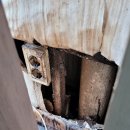 사평대로28길 60 | 서울시 서초구 반포4차 아파트 쥐퇴치 작업(구서작업)