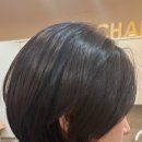 구르미살롱 | 부천미용실 살롱더샹델 부천 상동점 방문 후기