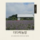 길농장 | [청주 교원대/강내면 카페] 초여름의 아름다움을 담은 더다락농장 식물카페 방문후기