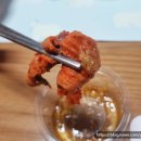 곰스패밀리