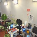 카페유로 이미지