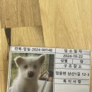 굿데이몽 이미지