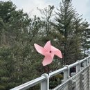 [서울 근교 등산] 경기도 가평 운악산 초보자 등산코스 추천 (주차장 정보)
