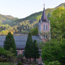 흔적으로의 여행 이미지