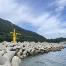 묘도1길 | 여수/ 현지인 맛집 "소치자연횟집" 물회, 회코스요리 전문점