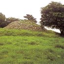 유포석보 이미지