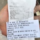 아나파동물병원 이미지