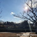 유당공원(주차장) 이미지