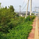 수원권선꿈에그린 버스정류장 이미지