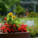 강원도립화목원 이미지