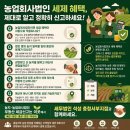 세무법인석성충청