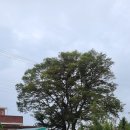 담양라라345 이미지