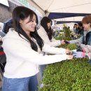 주식회사 희망나무 이미지