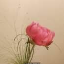 피스코 | 신도림 웨스턴베니비스 연계 피스코 업체, 스드메 계약 후기｜웨딩홀 패키지 선택한 이유
