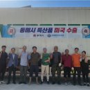 동해시-31 이미지