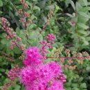 동호마을 이미지