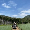 대촌관광농원 이미지